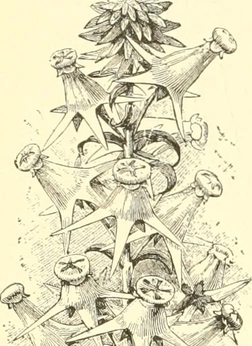 An illustration from Triumphs and wonders of the 19th century, a volume of original, historic and descriptive writings showing the many and marvellous achievements which distinguish an hundred years of material, intellectual, social and moral progress, 1901, leaf 123