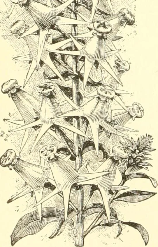 An illustration from Triumphs and wonders of the 19th century, a volume of original, historic and descriptive writings showing the many and marvellous achievements which distinguish an hundred years of material, intellectual, social and moral progress, 1901, leaf 123