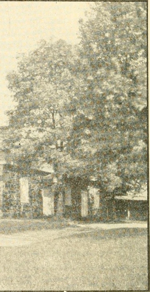 An illustration from Triumphs and wonders of the 19th century, a volume of original, historic and descriptive writings showing the many and marvellous achievements which distinguish an hundred years of material, intellectual, social and moral progress, 1901, leaf 161