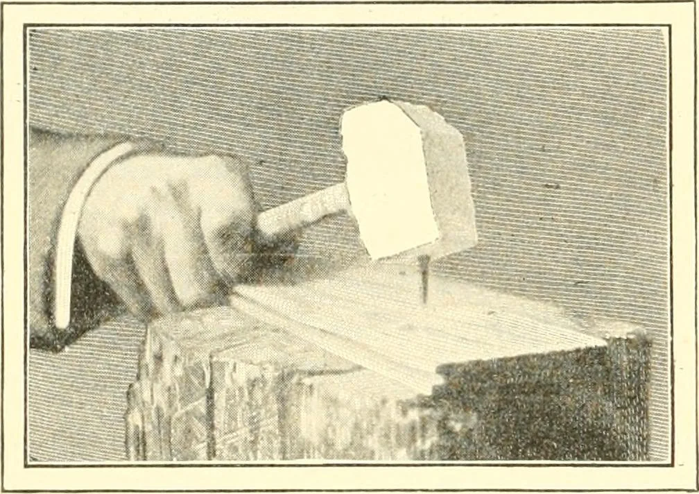 An illustration from Triumphs and wonders of the 19th century, a volume of original, historic and descriptive writings showing the many and marvellous achievements which distinguish an hundred years of material, intellectual, social and moral progress, 1901, leaf 225