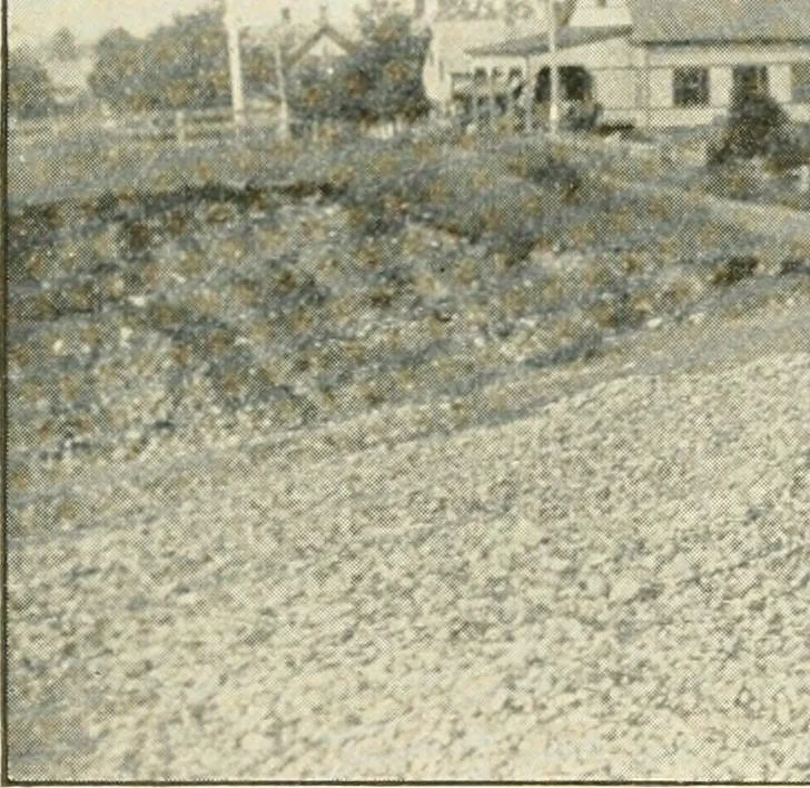 An illustration from Triumphs and wonders of the 19th century, a volume of original, historic and descriptive writings showing the many and marvellous achievements which distinguish an hundred years of material, intellectual, social and moral progress, 1901, leaf 272