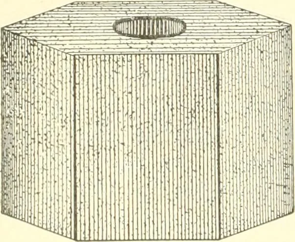 An illustration from Triumphs and wonders of the 19th century, a volume of original, historic and descriptive writings showing the many and marvellous achievements which distinguish an hundred years of material, intellectual, social and moral progress, 1901, leaf 323