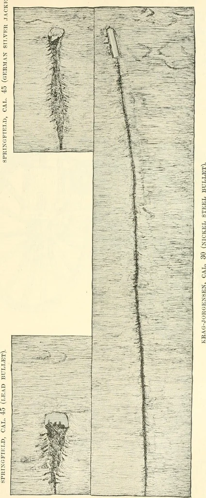 An illustration from Triumphs and wonders of the 19th century, a volume of original, historic and descriptive writings showing the many and marvellous achievements which distinguish an hundred years of material, intellectual, social and moral progress, 1901, leaf 328