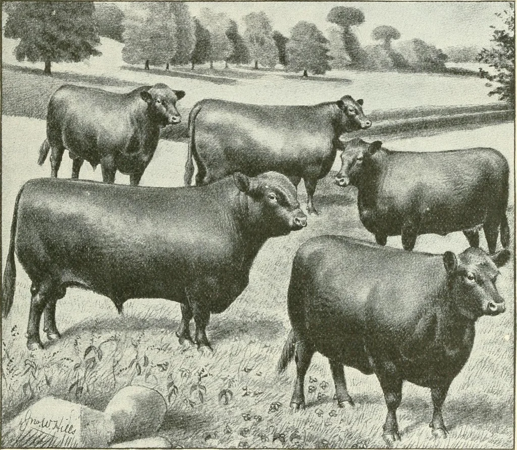 An illustration from Triumphs and wonders of the 19th century, a volume of original, historic and descriptive writings showing the many and marvellous achievements which distinguish an hundred years of material, intellectual, social and moral progress, 1901, leaf 346