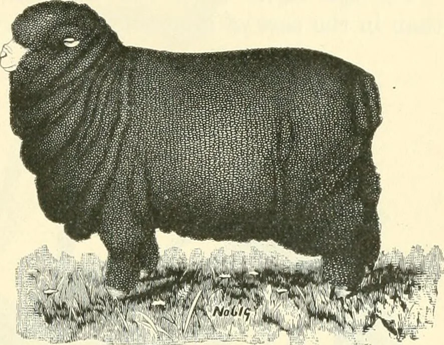 An illustration from Triumphs and wonders of the 19th century, a volume of original, historic and descriptive writings showing the many and marvellous achievements which distinguish an hundred years of material, intellectual, social and moral progress, 1901, leaf 350