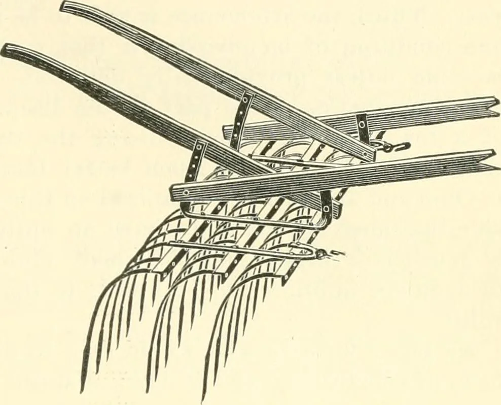 An illustration from Triumphs and wonders of the 19th century, a volume of original, historic and descriptive writings showing the many and marvellous achievements which distinguish an hundred years of material, intellectual, social and moral progress, 1901, leaf 356