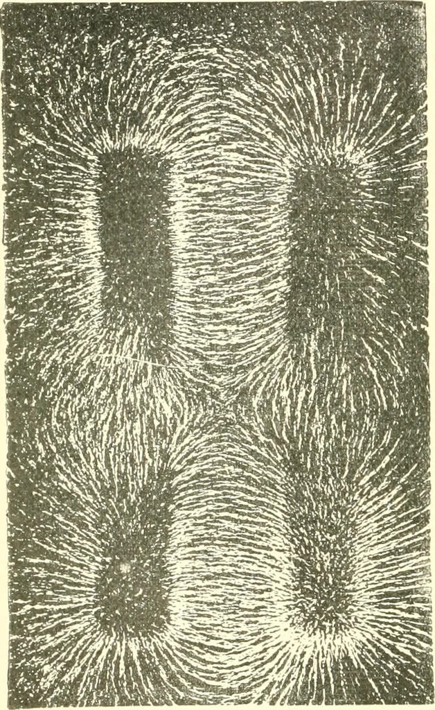 An illustration from Triumphs and wonders of the 19th century, a volume of original, historic and descriptive writings showing the many and marvellous achievements which distinguish an hundred years of material, intellectual, social and moral progress, 1901, leaf 37