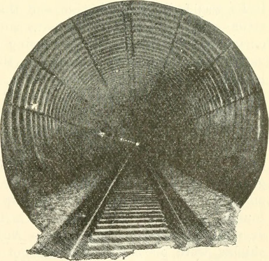 An illustration from Triumphs and wonders of the 19th century, a volume of original, historic and descriptive writings showing the many and marvellous achievements which distinguish an hundred years of material, intellectual, social and moral progress, 1901, leaf 386