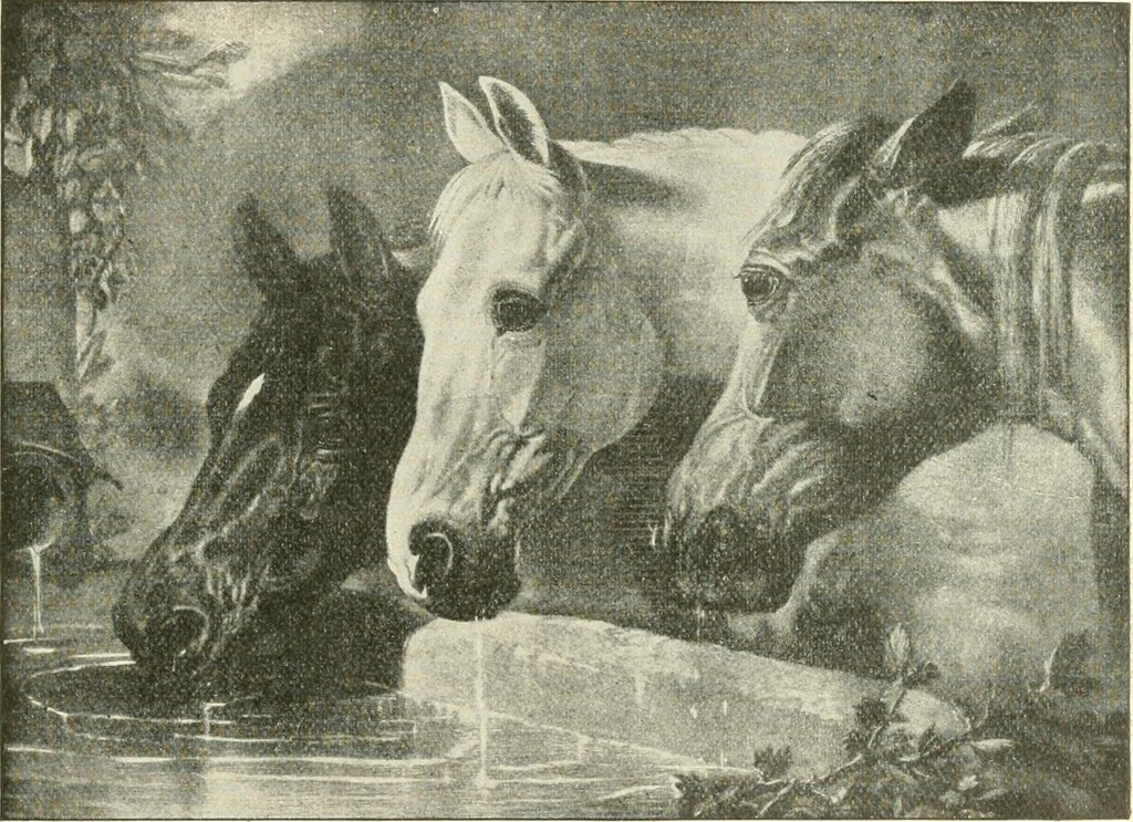An illustration from Triumphs and wonders of the 19th century, a volume of original, historic and descriptive writings showing the many and marvellous achievements which distinguish an hundred years of material, intellectual, social and moral progress, 1901, leaf 394