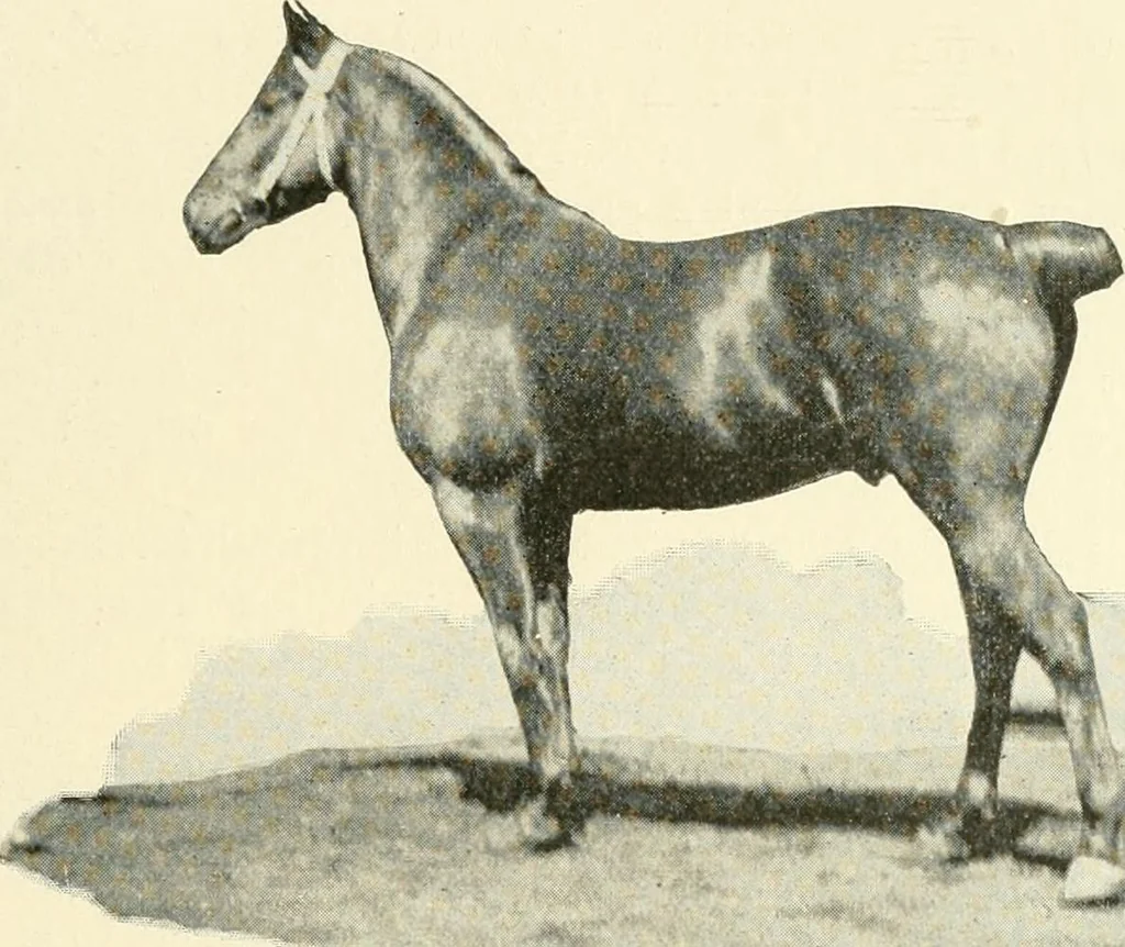 An illustration from Triumphs and wonders of the 19th century, a volume of original, historic and descriptive writings showing the many and marvellous achievements which distinguish an hundred years of material, intellectual, social and moral progress, 1901, leaf 396