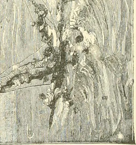 An illustration from Triumphs and wonders of the 19th century, a volume of original, historic and descriptive writings showing the many and marvellous achievements which distinguish an hundred years of material, intellectual, social and moral progress, 1901, leaf 446
