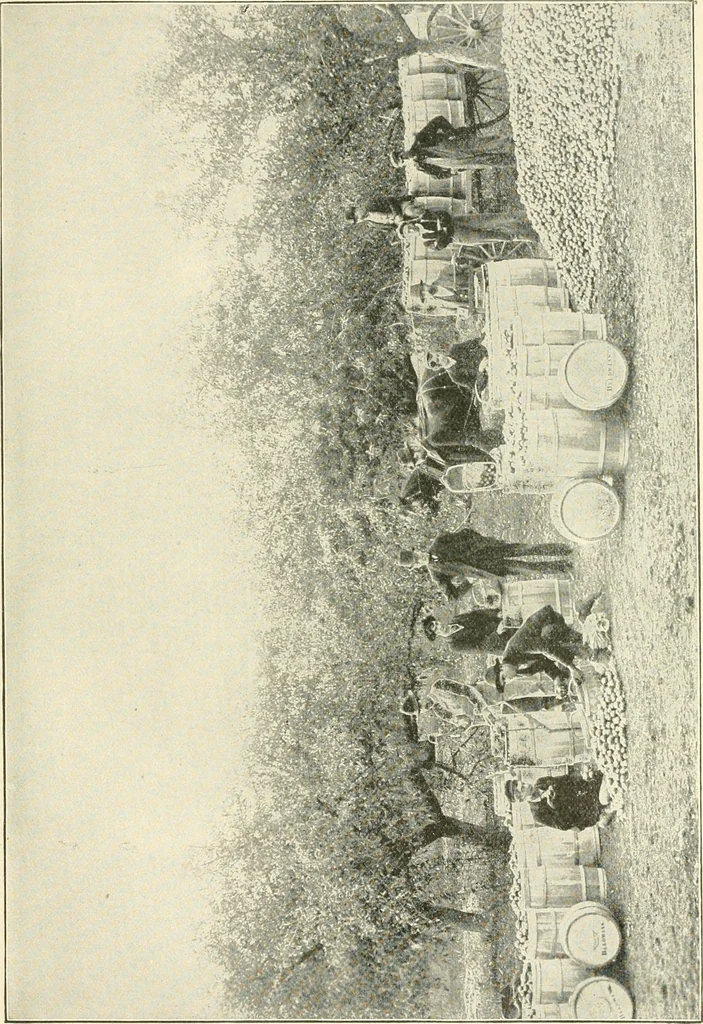 An illustration from Triumphs and wonders of the 19th century, a volume of original, historic and descriptive writings showing the many and marvellous achievements which distinguish an hundred years of material, intellectual, social and moral progress, 1901, leaf 510