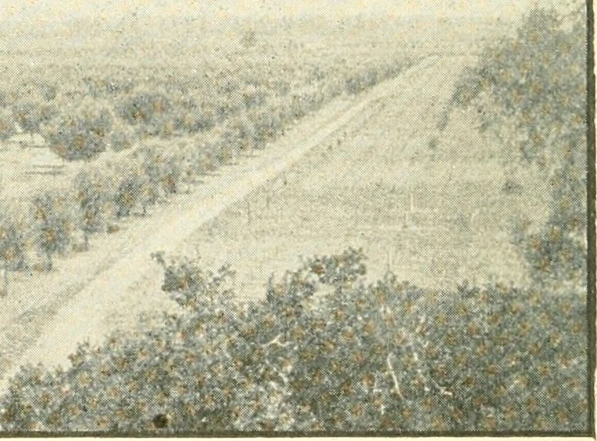 An illustration from Triumphs and wonders of the 19th century, a volume of original, historic and descriptive writings showing the many and marvellous achievements which distinguish an hundred years of material, intellectual, social and moral progress, 1901, leaf 521