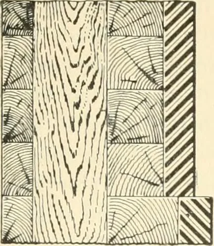 An illustration from Triumphs and wonders of the 19th century, a volume of original, historic and descriptive writings showing the many and marvellous achievements which distinguish an hundred years of material, intellectual, social and moral progress, 1901, leaf 94