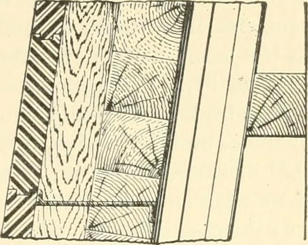 An illustration from Triumphs and wonders of the 19th century, a volume of original, historic and descriptive writings showing the many and marvellous achievements which distinguish an hundred years of material, intellectual, social and moral progress, 1901, leaf 94