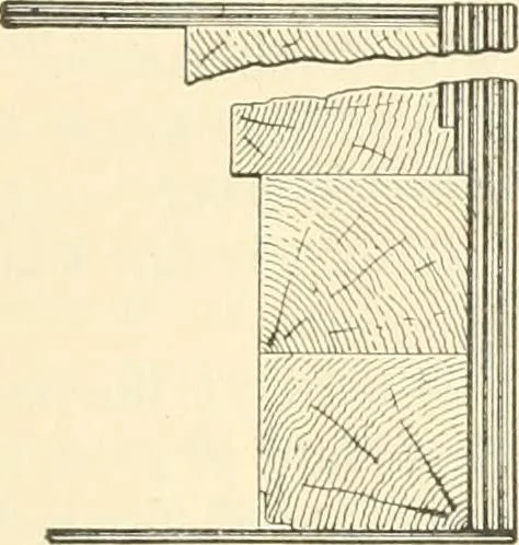 An illustration from Triumphs and wonders of the 19th century, a volume of original, historic and descriptive writings showing the many and marvellous achievements which distinguish an hundred years of material, intellectual, social and moral progress, 1901, leaf 94