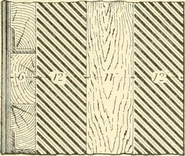 An illustration from Triumphs and wonders of the 19th century, a volume of original, historic and descriptive writings showing the many and marvellous achievements which distinguish an hundred years of material, intellectual, social and moral progress, 1901, leaf 94