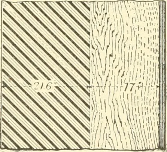 An illustration from Triumphs and wonders of the 19th century, a volume of original, historic and descriptive writings showing the many and marvellous achievements which distinguish an hundred years of material, intellectual, social and moral progress, 1901, leaf 94