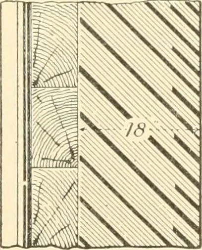 An illustration from Triumphs and wonders of the 19th century, a volume of original, historic and descriptive writings showing the many and marvellous achievements which distinguish an hundred years of material, intellectual, social and moral progress, 1901, leaf 94