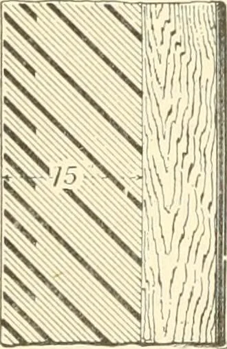 An illustration from Triumphs and wonders of the 19th century, a volume of original, historic and descriptive writings showing the many and marvellous achievements which distinguish an hundred years of material, intellectual, social and moral progress, 1901, leaf 94
