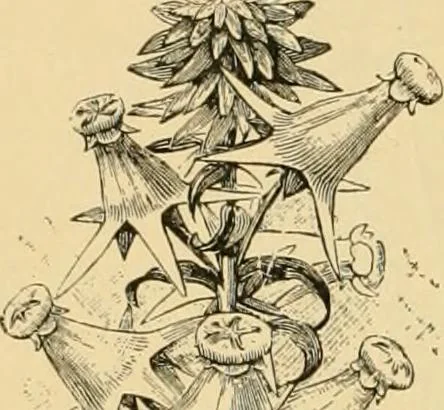 An illustration from Triumphs and wonders of the 19th century, the true mirror of a phenomenal era, a volume of original, entertaining and instructive historic and descriptive writings, showing the many and marvellous achievements which distinguish an hundred years of material, intellectual, social and moral progress .., 1899, leaf 121