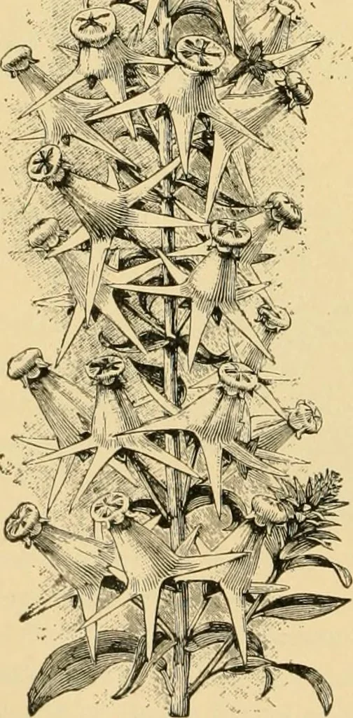 An illustration from Triumphs and wonders of the 19th century, the true mirror of a phenomenal era, a volume of original, entertaining and instructive historic and descriptive writings, showing the many and marvellous achievements which distinguish an hundred years of material, intellectual, social and moral progress .., 1899, leaf 121