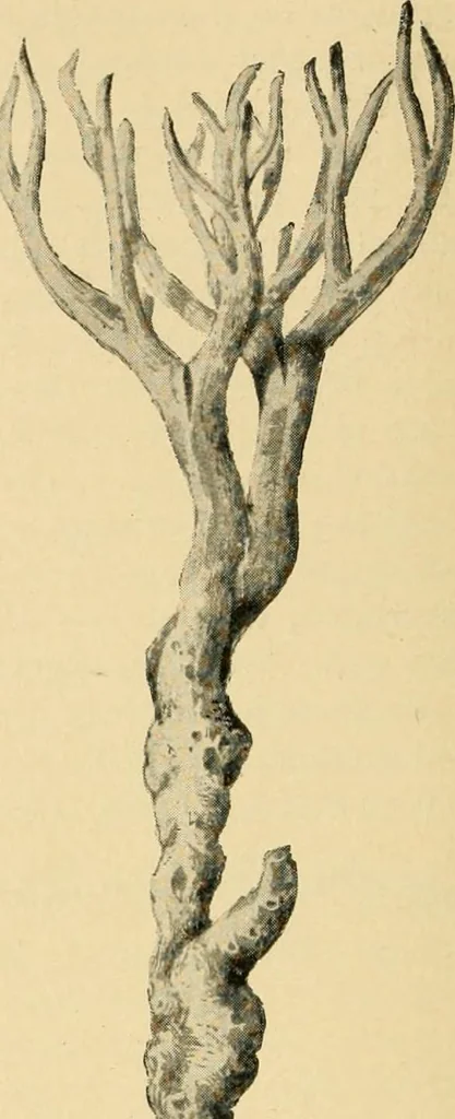 An illustration from Triumphs and wonders of the 19th century, the true mirror of a phenomenal era, a volume of original, entertaining and instructive historic and descriptive writings, showing the many and marvellous achievements which distinguish an hundred years of material, intellectual, social and moral progress .., 1899, leaf 125