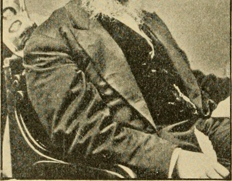 An illustration from Triumphs and wonders of the 19th century, the true mirror of a phenomenal era, a volume of original, entertaining and instructive historic and descriptive writings, showing the many and marvellous achievements which distinguish an hundred years of material, intellectual, social and moral progress .., 1899, leaf 243