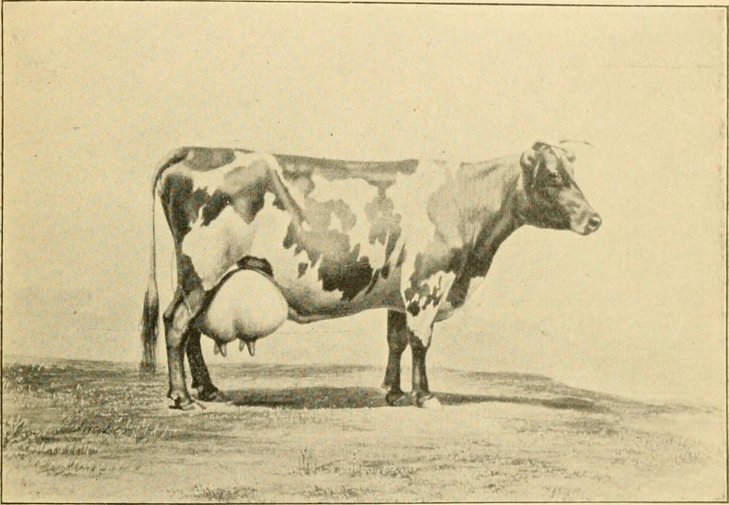 An illustration from Triumphs and wonders of the 19th century, the true mirror of a phenomenal era, a volume of original, entertaining and instructive historic and descriptive writings, showing the many and marvellous achievements which distinguish an hundred years of material, intellectual, social and moral progress .., 1899, leaf 272