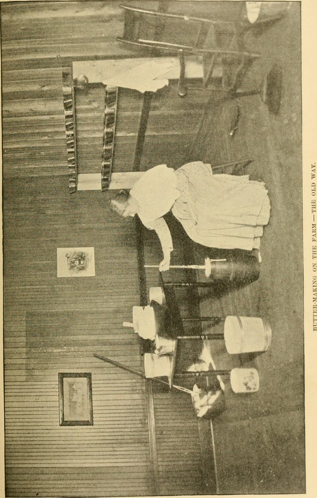 An illustration from Triumphs and wonders of the 19th century, the true mirror of a phenomenal era, a volume of original, entertaining and instructive historic and descriptive writings, showing the many and marvellous achievements which distinguish an hundred years of material, intellectual, social and moral progress .., 1899, leaf 276