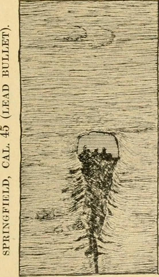 An illustration from Triumphs and wonders of the 19th century, the true mirror of a phenomenal era, a volume of original, entertaining and instructive historic and descriptive writings, showing the many and marvellous achievements which distinguish an hundred years of material, intellectual, social and moral progress .., 1899, leaf 326