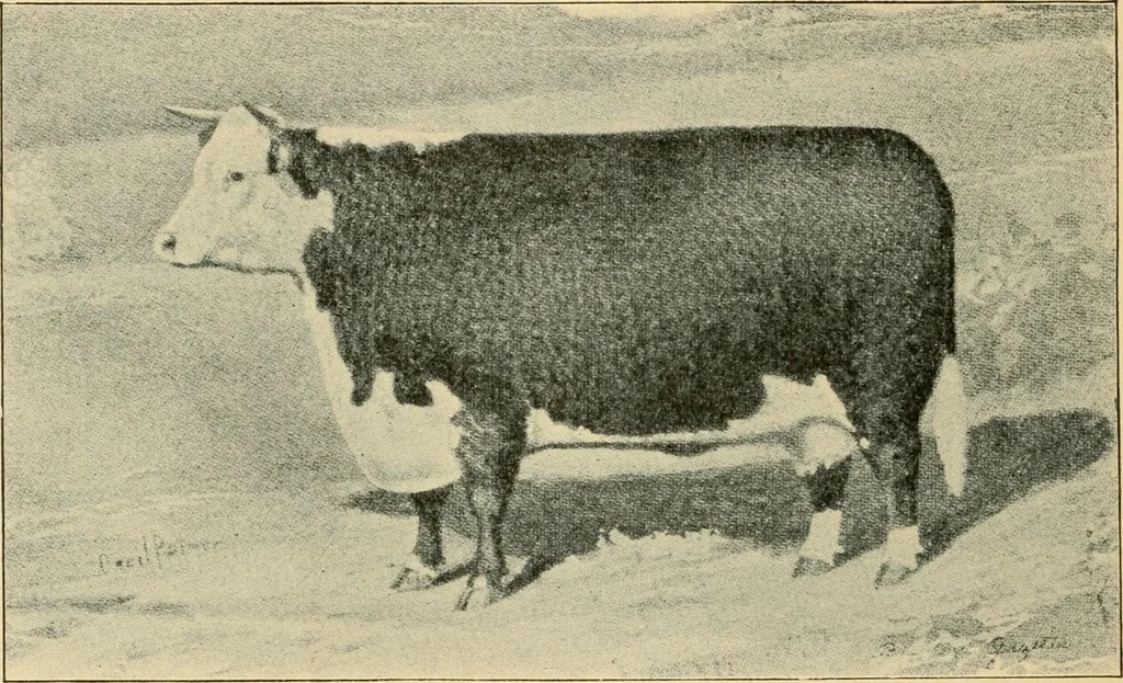 An illustration from Triumphs and wonders of the 19th century, the true mirror of a phenomenal era, a volume of original, entertaining and instructive historic and descriptive writings, showing the many and marvellous achievements which distinguish an hundred years of material, intellectual, social and moral progress .., 1899, leaf 343