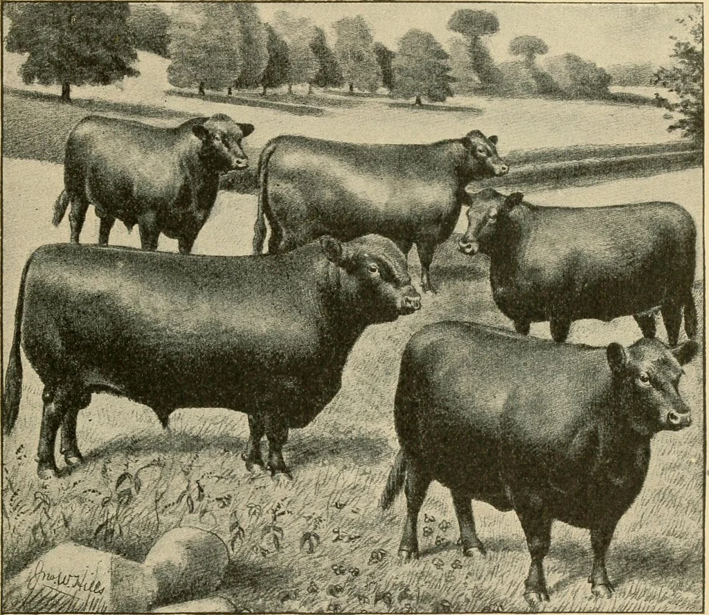 An illustration from Triumphs and wonders of the 19th century, the true mirror of a phenomenal era, a volume of original, entertaining and instructive historic and descriptive writings, showing the many and marvellous achievements which distinguish an hundred years of material, intellectual, social and moral progress .., 1899, leaf 344