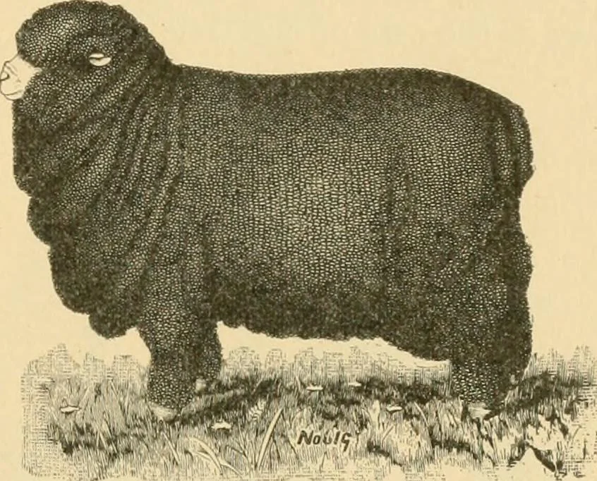 An illustration from Triumphs and wonders of the 19th century, the true mirror of a phenomenal era, a volume of original, entertaining and instructive historic and descriptive writings, showing the many and marvellous achievements which distinguish an hundred years of material, intellectual, social and moral progress .., 1899, leaf 348