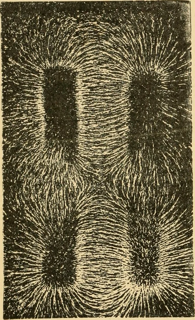 An illustration from Triumphs and wonders of the 19th century, the true mirror of a phenomenal era, a volume of original, entertaining and instructive historic and descriptive writings, showing the many and marvellous achievements which distinguish an hundred years of material, intellectual, social and moral progress .., 1899, leaf 35
