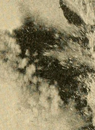 An illustration from Triumphs and wonders of the 19th century, the true mirror of a phenomenal era, a volume of original, entertaining and instructive historic and descriptive writings, showing the many and marvellous achievements which distinguish an hundred years of material, intellectual, social and moral progress .., 1899, leaf 378