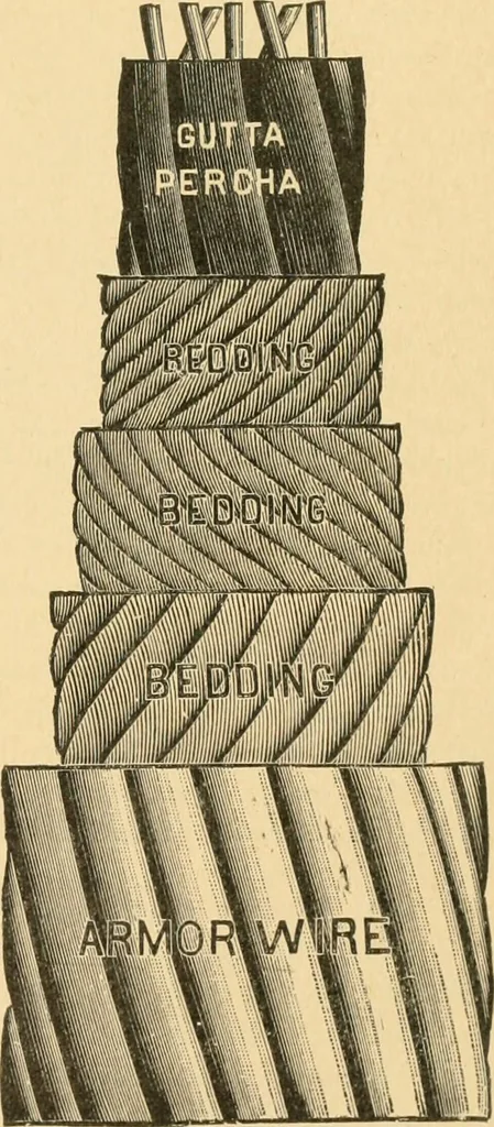 An illustration from Triumphs and wonders of the 19th century, the true mirror of a phenomenal era, a volume of original, entertaining and instructive historic and descriptive writings, showing the many and marvellous achievements which distinguish an hundred years of material, intellectual, social and moral progress .., 1899, leaf 38