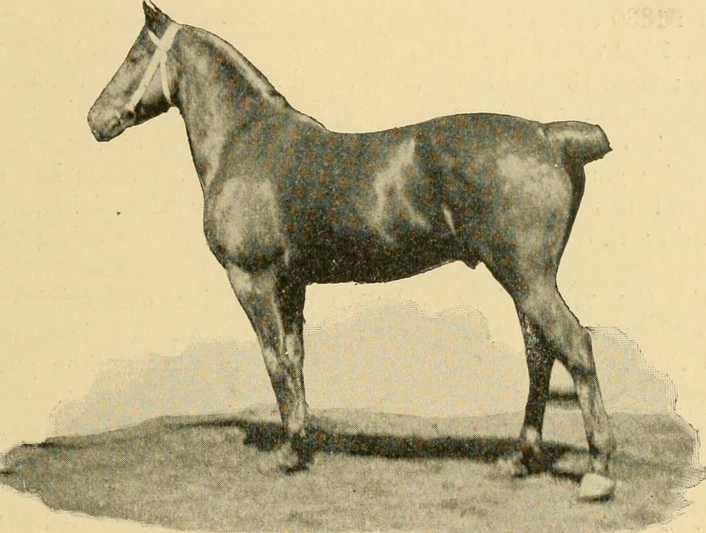 An illustration from Triumphs and wonders of the 19th century, the true mirror of a phenomenal era, a volume of original, entertaining and instructive historic and descriptive writings, showing the many and marvellous achievements which distinguish an hundred years of material, intellectual, social and moral progress .., 1899, leaf 394