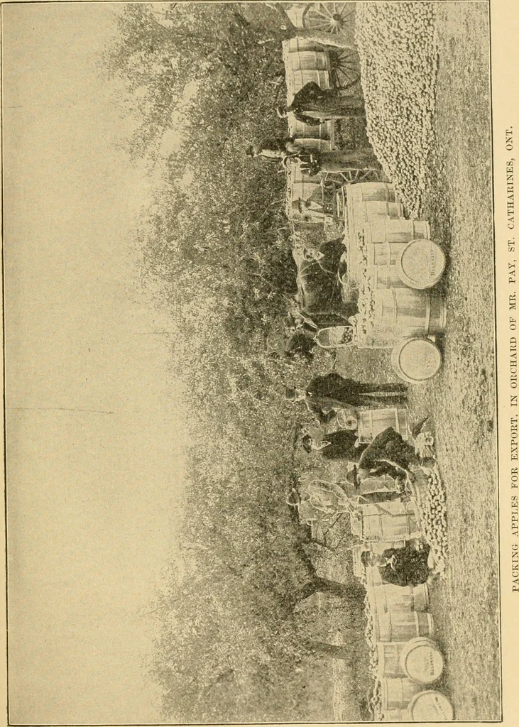 An illustration from Triumphs and wonders of the 19th century, the true mirror of a phenomenal era, a volume of original, entertaining and instructive historic and descriptive writings, showing the many and marvellous achievements which distinguish an hundred years of material, intellectual, social and moral progress .., 1899, leaf 506