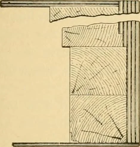 An illustration from Triumphs and wonders of the 19th century, the true mirror of a phenomenal era, a volume of original, entertaining and instructive historic and descriptive writings, showing the many and marvellous achievements which distinguish an hundred years of material, intellectual, social and moral progress .., 1899, leaf 92