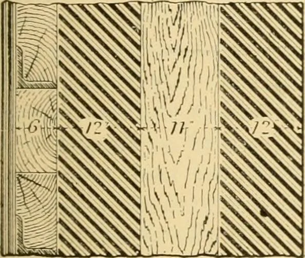 An illustration from Triumphs and wonders of the 19th century, the true mirror of a phenomenal era, a volume of original, entertaining and instructive historic and descriptive writings, showing the many and marvellous achievements which distinguish an hundred years of material, intellectual, social and moral progress .., 1899, leaf 92
