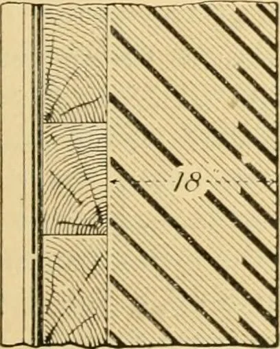 An illustration from Triumphs and wonders of the 19th century, the true mirror of a phenomenal era, a volume of original, entertaining and instructive historic and descriptive writings, showing the many and marvellous achievements which distinguish an hundred years of material, intellectual, social and moral progress .., 1899, leaf 92