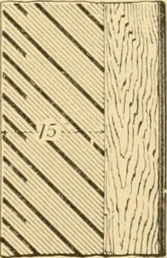 An illustration from Triumphs and wonders of the 19th century, the true mirror of a phenomenal era, a volume of original, entertaining and instructive historic and descriptive writings, showing the many and marvellous achievements which distinguish an hundred years of material, intellectual, social and moral progress .., 1899, leaf 92