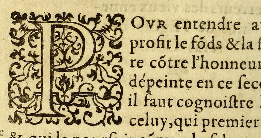 An illustration from Trois discours pour la religion catholique, des miracles, des saincts, & des images. ..., 1597, leaf 246