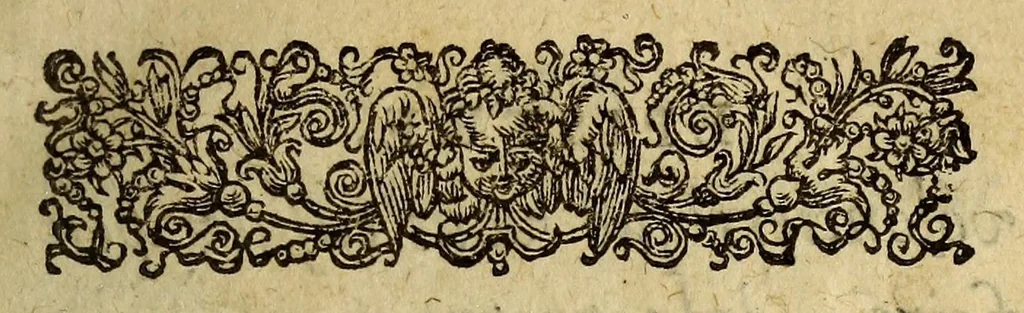 An illustration from Troisiesme liure, des serees de Guillaume Bouchet sieur de Brocourt, 1598, leaf 5