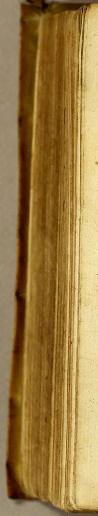 An illustration from Troisiesme liure, des serees de Guillaume Bouchet sieur de Brocourt, 1598, leaf 548