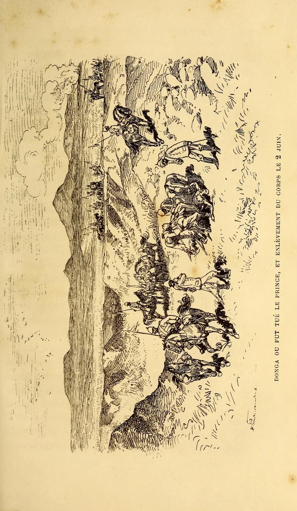 An illustration from Trois mois chez les Zoulous et les derniers jours du Prince impérial, 1879, leaf 311