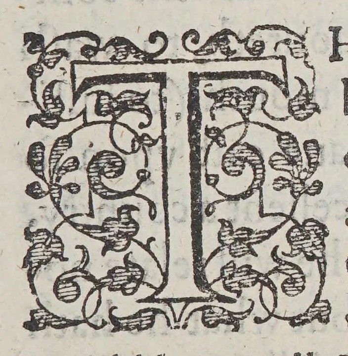 An illustration from A true declaration of the estate of the colonie in Virginia, : with a confutation of such scandalous reports as haue tended to the disgrace of so worthy an enterprise., 1610, leaf 11