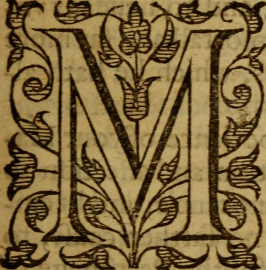 An illustration from The true difference betweene Christian subiection and unchristian rebellion : wherein the princes lawful power to command for truth, and indepriueable right to beare the sword, are defended against the Popes censures and the Iesuits sophismes, vttered in their apologie and defence of English Catholikes ; with a demonstration that the things reformed in the Church of England by the lawes of this realme are truly Catholike.., 1586, leaf 8