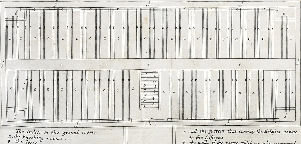 An illustration from A true & exact history of the island of Barbadoes : illustrated with a map of the island, as also the principal trees and plants there, set forth in their due proportions and shapes, drawn out by their several and respective scales : together with the ingenio that makes the sugar, with the plots of the several houses, rooms, and other places, that are used in the whole process of sugar-making ... all cut in copper, 1673, leaf 110